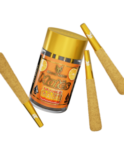 MUHAMEDS ORANGE CAKE HYBRID INFUSED PRE-ROLLS FOR SALE